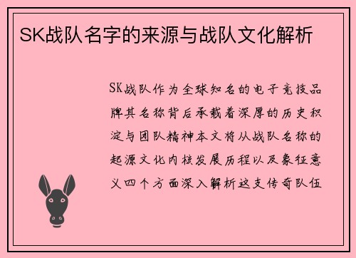 SK战队名字的来源与战队文化解析